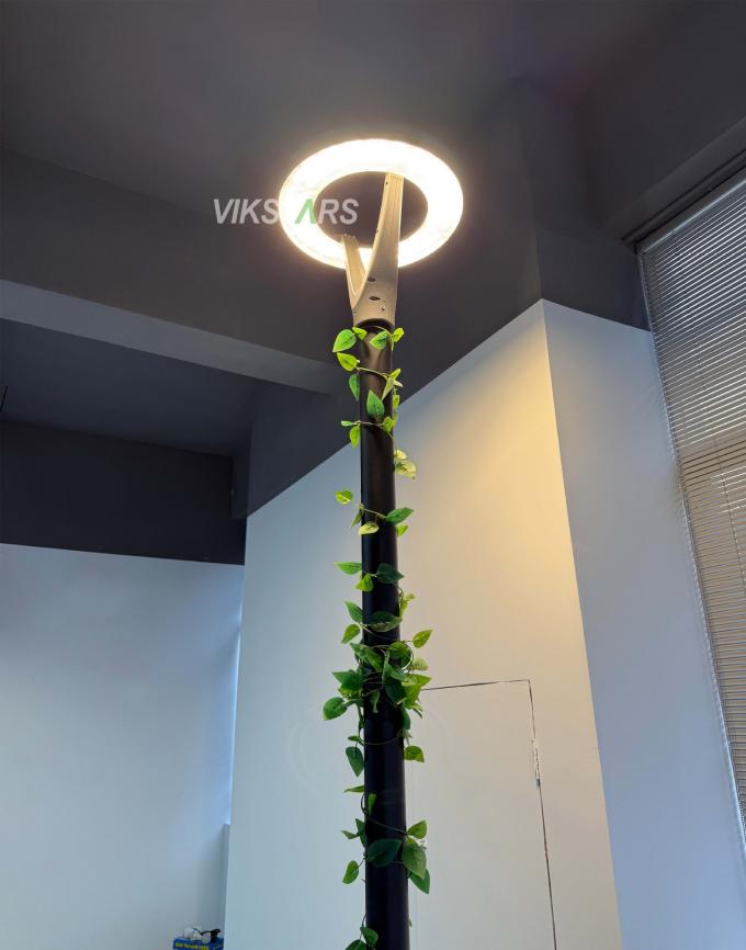 Lampu Taman Baru 100W 2 Tahun Garansi 100lm/w Harga Murah Untuk Grosir 10